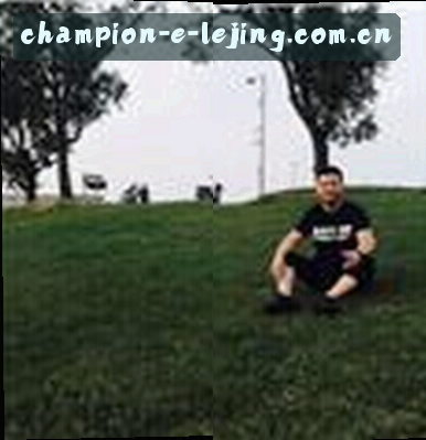 陈磊